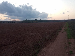 PARAJE FRAILE 20