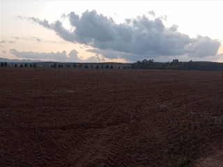 PARAJE FRAILE 21