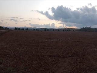 PARAJE FRAILE 22