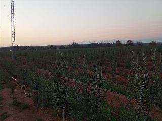 PARAJE FRAILE 23