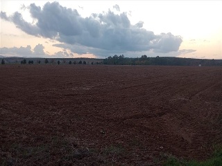 PARAJE FRAILE 24