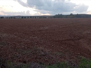 PARAJE FRAILE 25
