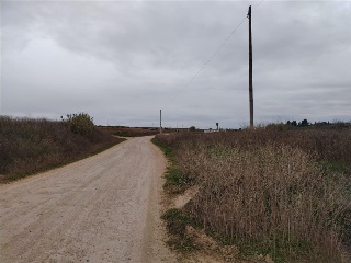 POLIGONO 15 24