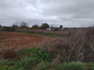POLIGONO 15 26