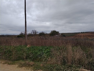 POLIGONO 15 31