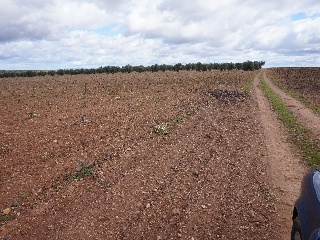 POLIGONO 15 35