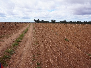 POLIGONO 15 36