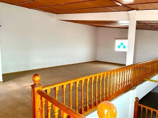 MAYOR 24