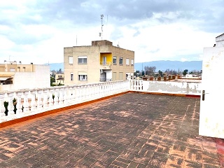 MAYOR 25