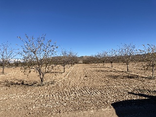 Suelo rústico en Pr Pago Del Campillo, Galera (Granada) 18