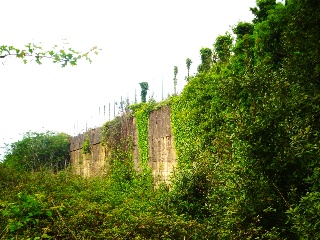 LA CAMPONA 28