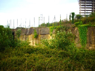 LA CAMPONA 29
