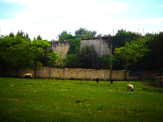 LA CAMPONA 34