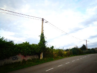 LA CAMPONA 35