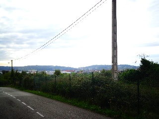 LA CAMPONA 36