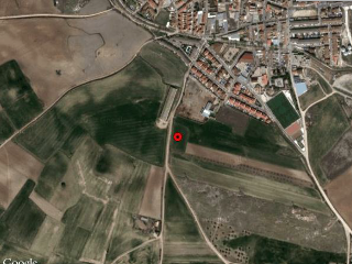OLIVAR DEL CUADRO 14