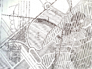 OLIVAR DEL CUADRO 15