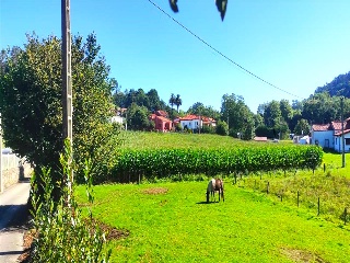 GOLBARDO 11