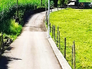 GOLBARDO 16