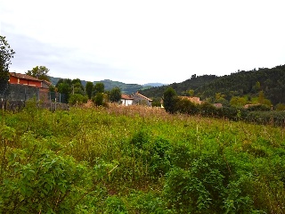 DEL RINC?N 15