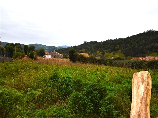 DEL RINC?N 16