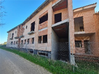 CAÑUELO 25