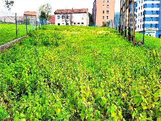LAVADERO 20