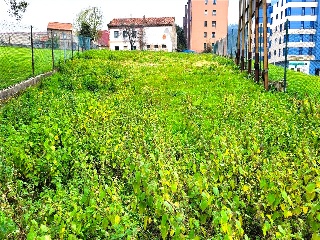 LAVADERO 21