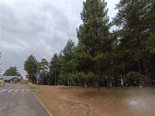 LOMAS NORTE 15