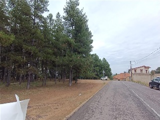 LOMAS NORTE 16