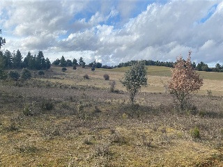 LOMAS NORTE 21