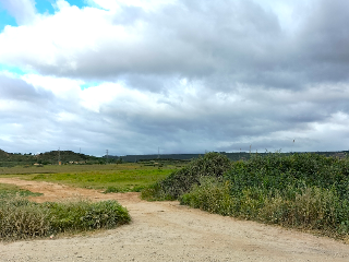 PARAJE LA PEDRERA O VERADILLO 20