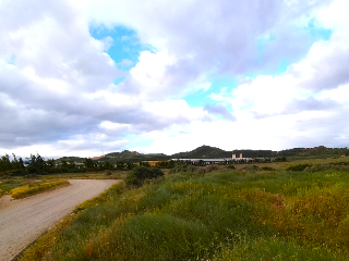 PARAJE LA PEDRERA O VERADILLO 25