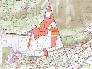 DE LA BALSA ROJA 13