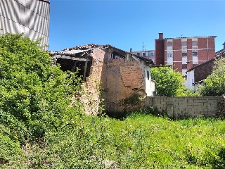 MAYOR 12