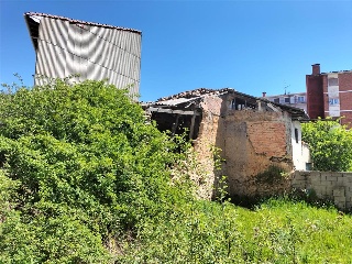 MAYOR 13