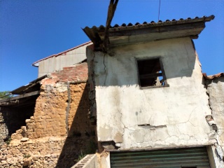 MAYOR 16