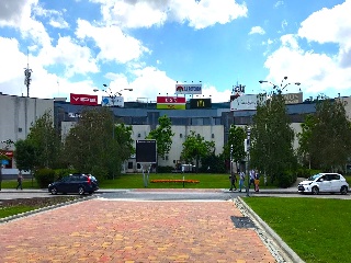 TORO (DEL) 7