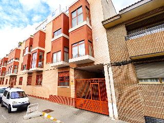 CEDRA 20