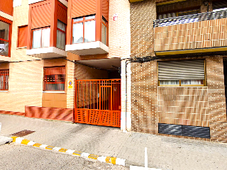 CEDRA 21