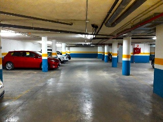ZAPATEROS 19