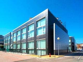 MATAPIÑONERA 19