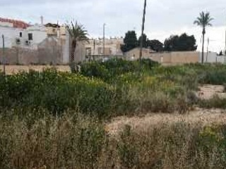 ALCAZARES 12