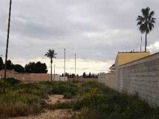 ALCAZARES 13