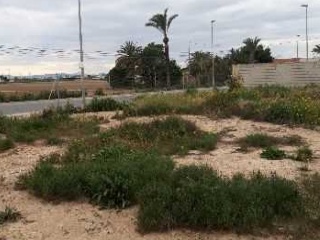 ALCAZARES 14