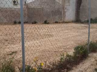 ALCAZARES 15