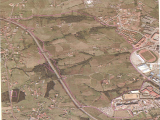 STR. POLÍGONO 12 PARCELA 75, N.S/N 19