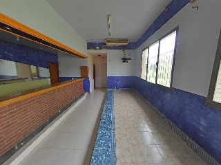 Diseminado 3