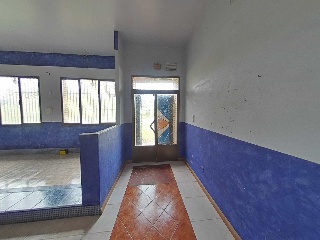 Diseminado 5