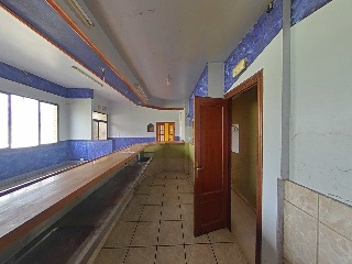 Diseminado 6